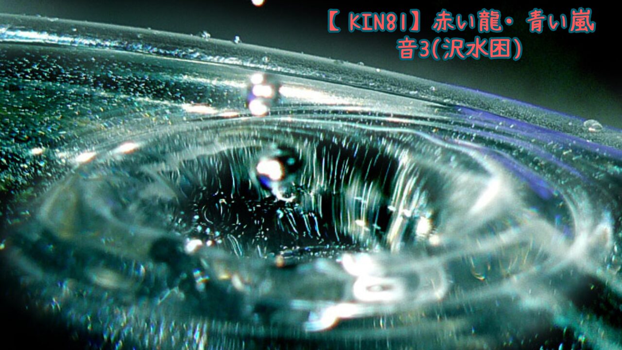 k81