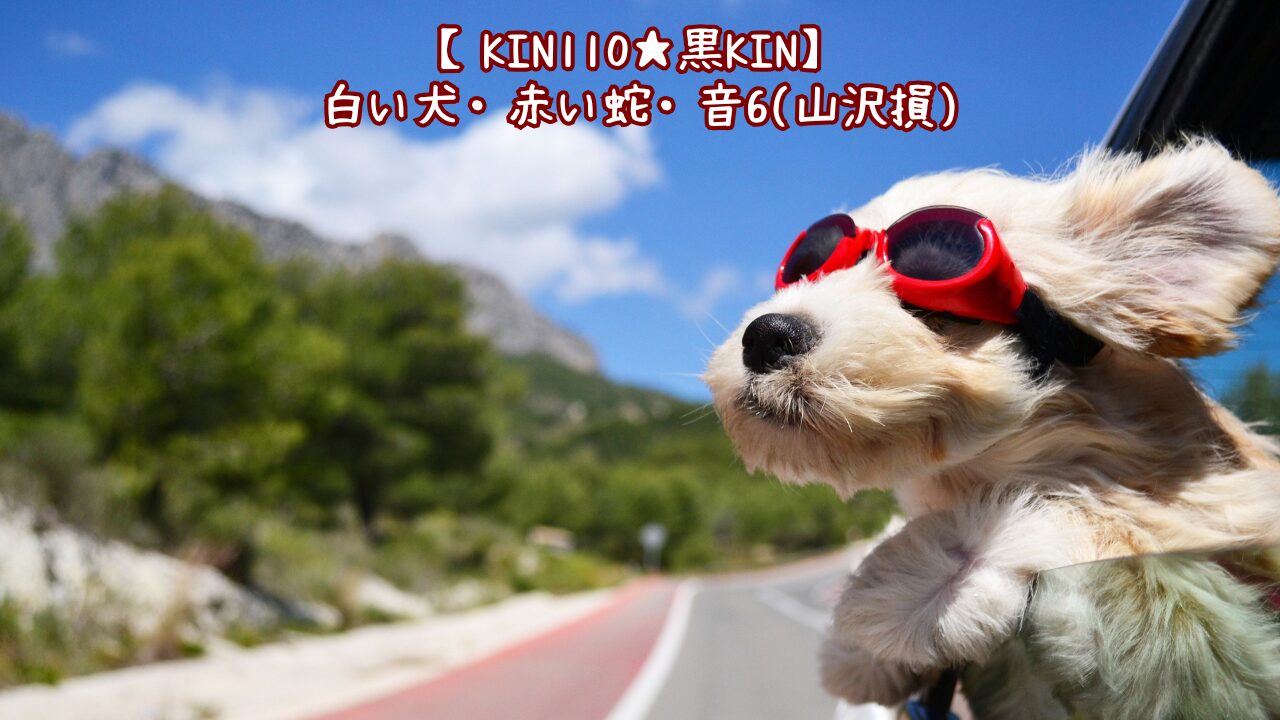 k110
